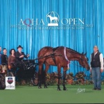 CITYBOY OR COWBOY - Out of Hot Anticipation